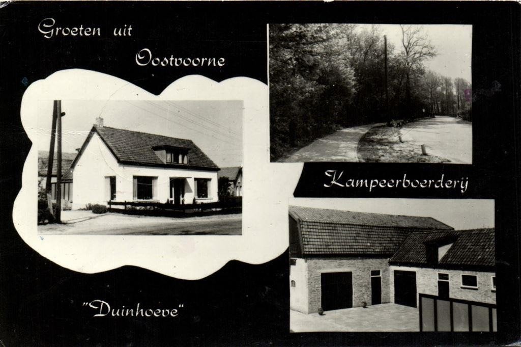 Groeten uit Oostvoorne - Kampeerboerderij Duinhoeve - 3 afb, Ophalen of Verzenden, 1960 tot 1980, Gelopen, Zuid-Holland