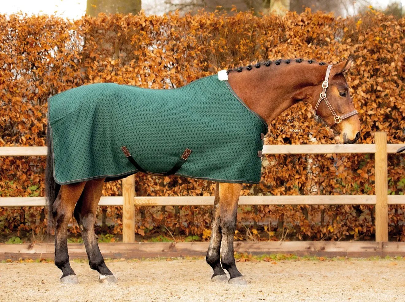 Kentucky Coolerdeken 4D Spacer – Pine Green – ZGAN, Dieren en Toebehoren, Paarden en Pony's | Dekens en Dekjes, Ophalen of Verzenden