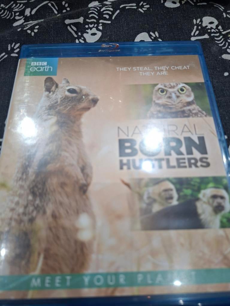 Natural born hustlers, Ophalen of Verzenden, Zo goed als nieuw