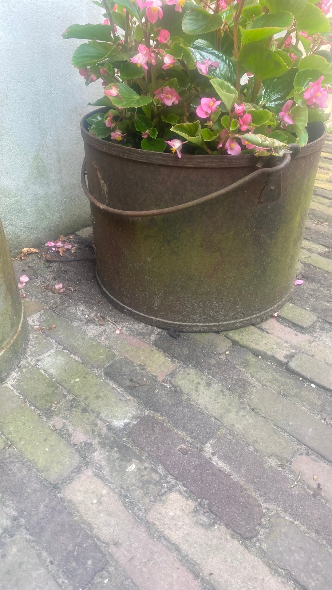 Ijzere plantenbak, Ophalen, Zo goed als nieuw, Rond, Kunststof