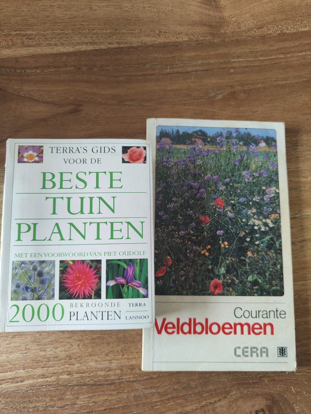 Terra's Gids voor de Beste Tuinplanten & Veldbloemen, Ophalen of Verzenden, Gelezen, Piet Oudolf (voorwoord), Tuinieren en Tuinplanten
