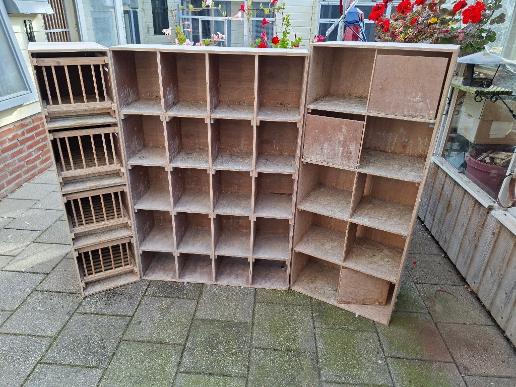 weduwduivinnen bakjes, Ophalen, Gebruikt, Overige typen