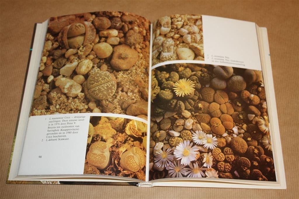Lithops. Levende steentjes. Dr. Rudolf Heine., Ophalen of Verzenden, Gelezen, Vogels