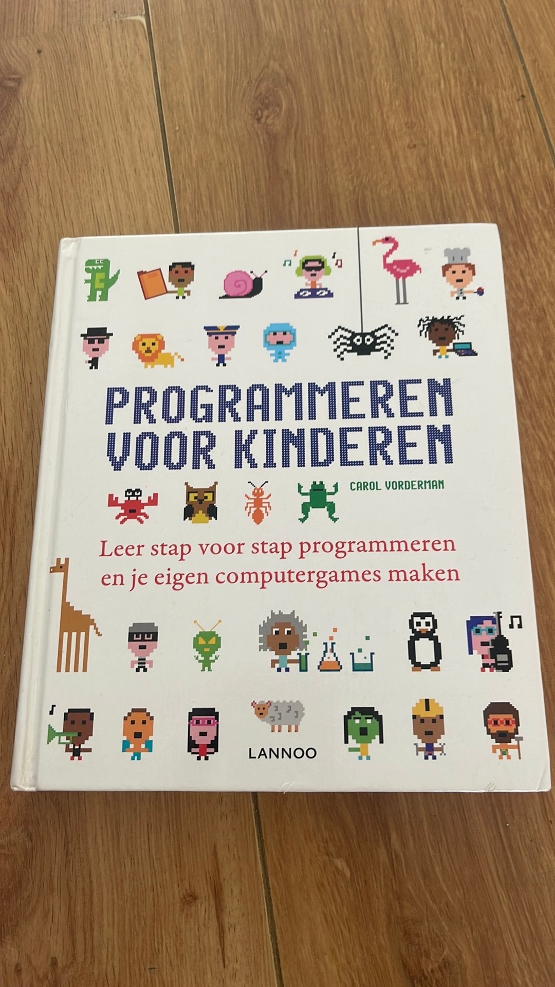 Programmeren voor kinderen, Boeken, Ophalen of Verzenden, Zo goed als nieuw