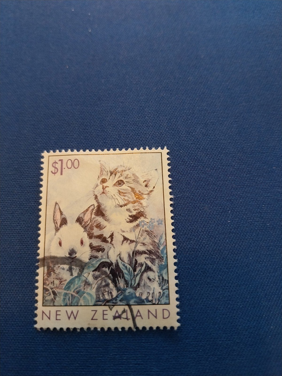NZ categorie 100, Ophalen of Verzenden