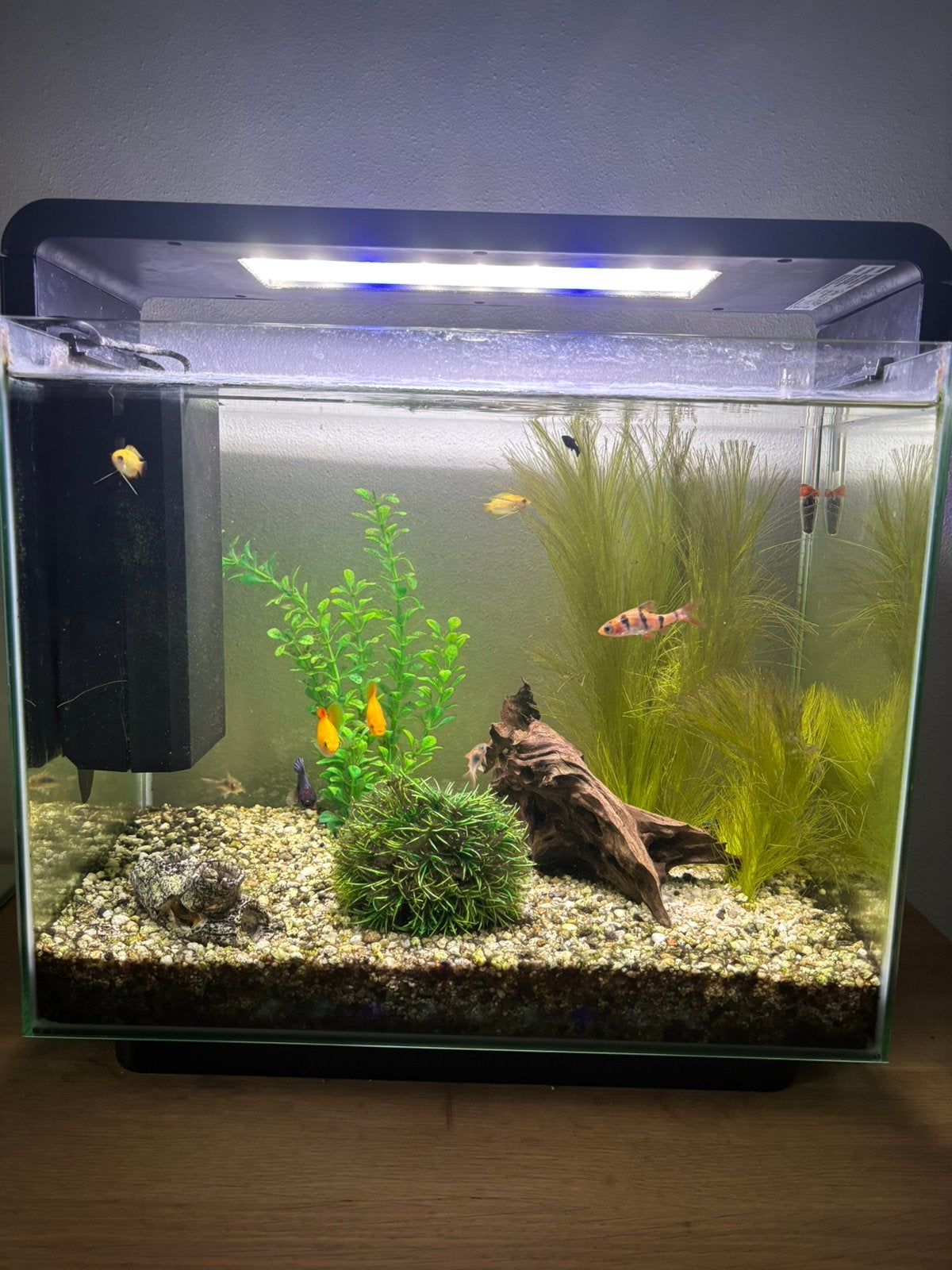 SuperFish Aquarium 45 Home 40 liter, Dieren en Toebehoren, Ophalen, Gebruikt, Leeg aquarium, Inclusief deksel