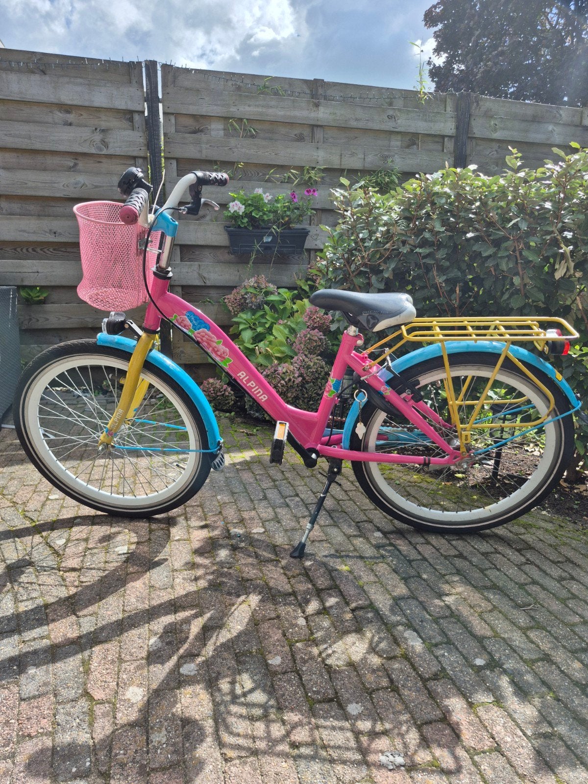 Mooie kleurrijke Alpina meisjesfiets 22 inch, Ophalen, Gebruikt, 22 inch