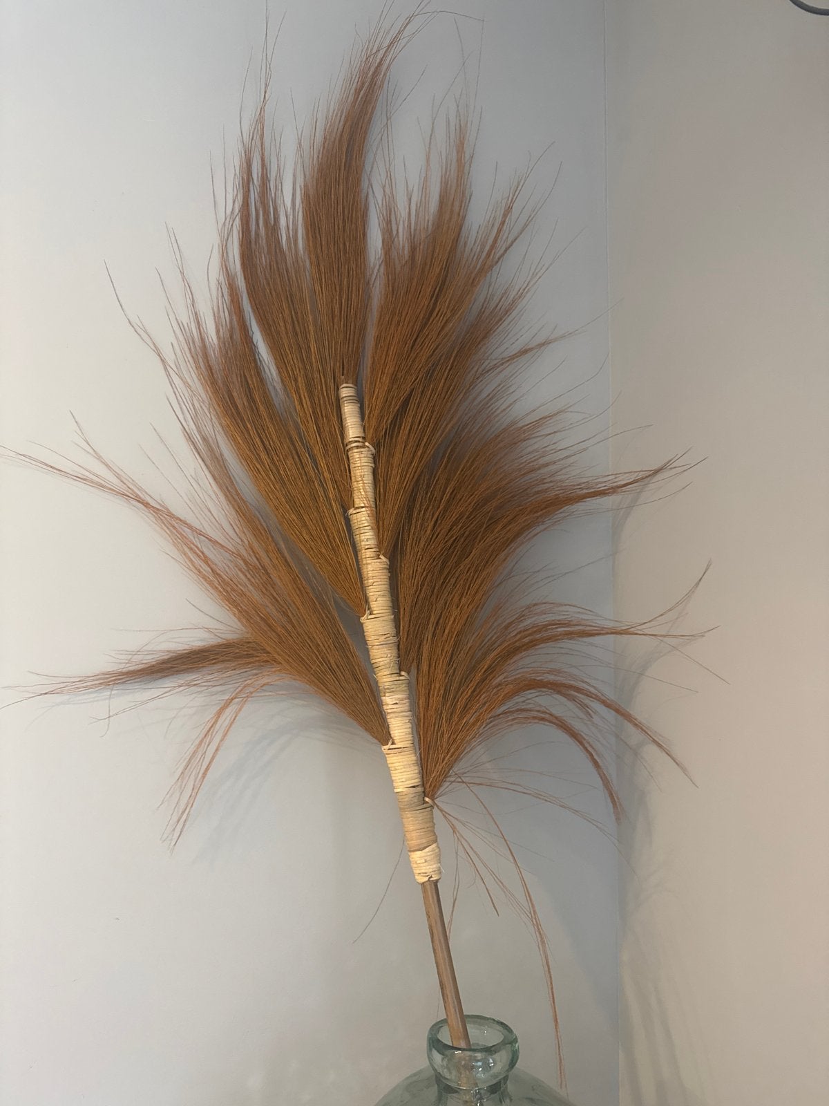 Decoratieve Roestbruine Pluim voor Interieur, Ophalen, Zo goed als nieuw
