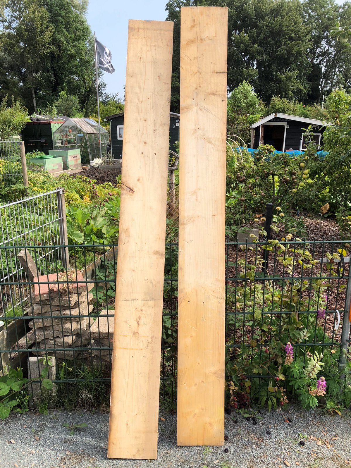 Vuren houten planken, Ophalen, Zo goed als nieuw, 250 cm of meer, Planken