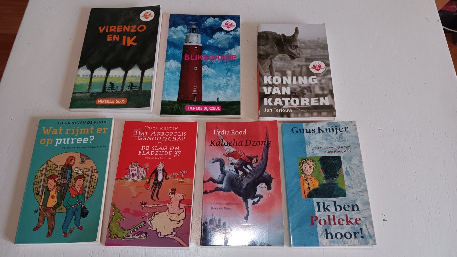 7 boeken dunne paperbacks nieuwstaat.
Boeken voor kinderen v, Boeken, Ophalen of Verzenden, Zo goed als nieuw