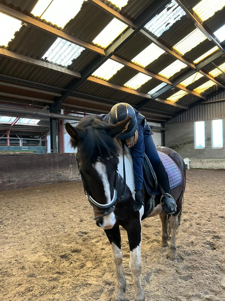 Verzorg pony/paard gezocht, Ophalen, Zo goed als nieuw