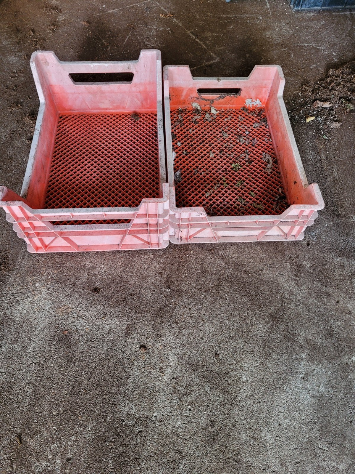 Oranje Kweekkisten, Ophalen, Gebruikt, 40 tot 60 cm, 50 tot 75 cm