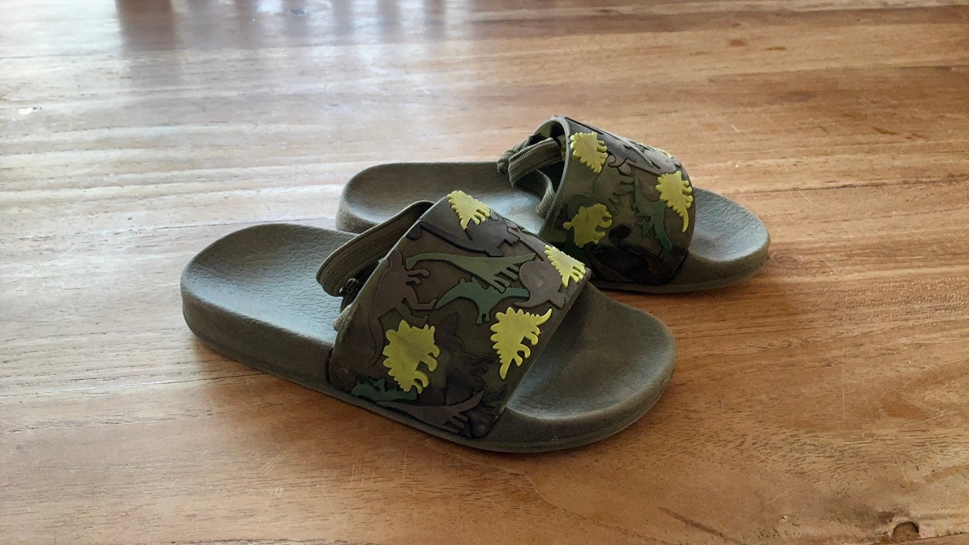 Dino slippers met achterbandje., Ophalen, Gebruikt, Overige typen
