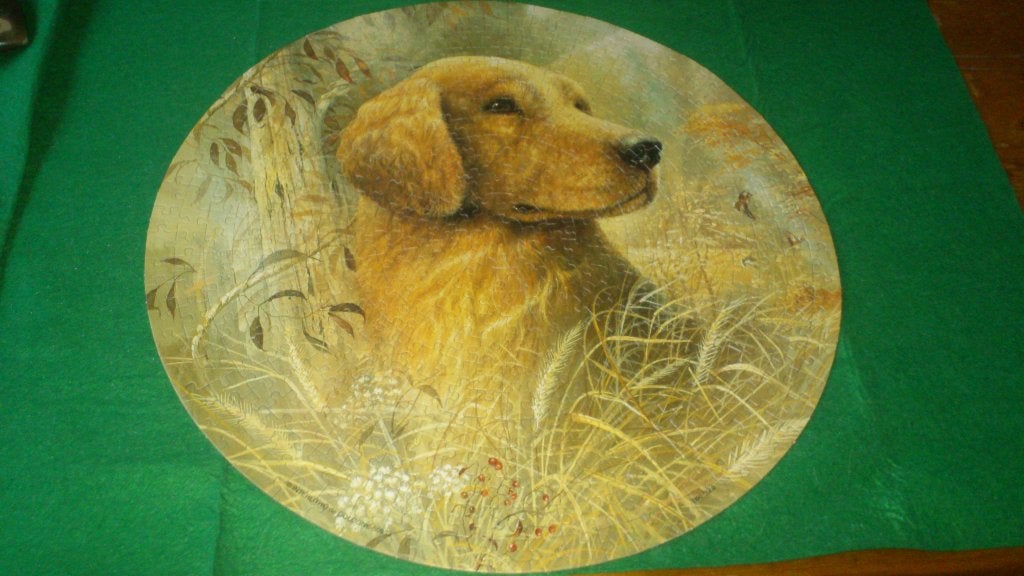Ronde Puzzel - Blonde Labrador - 500 stukjes - Compleet, Ophalen, 500 t/m 1500 stukjes, Gebruikt, Legpuzzel