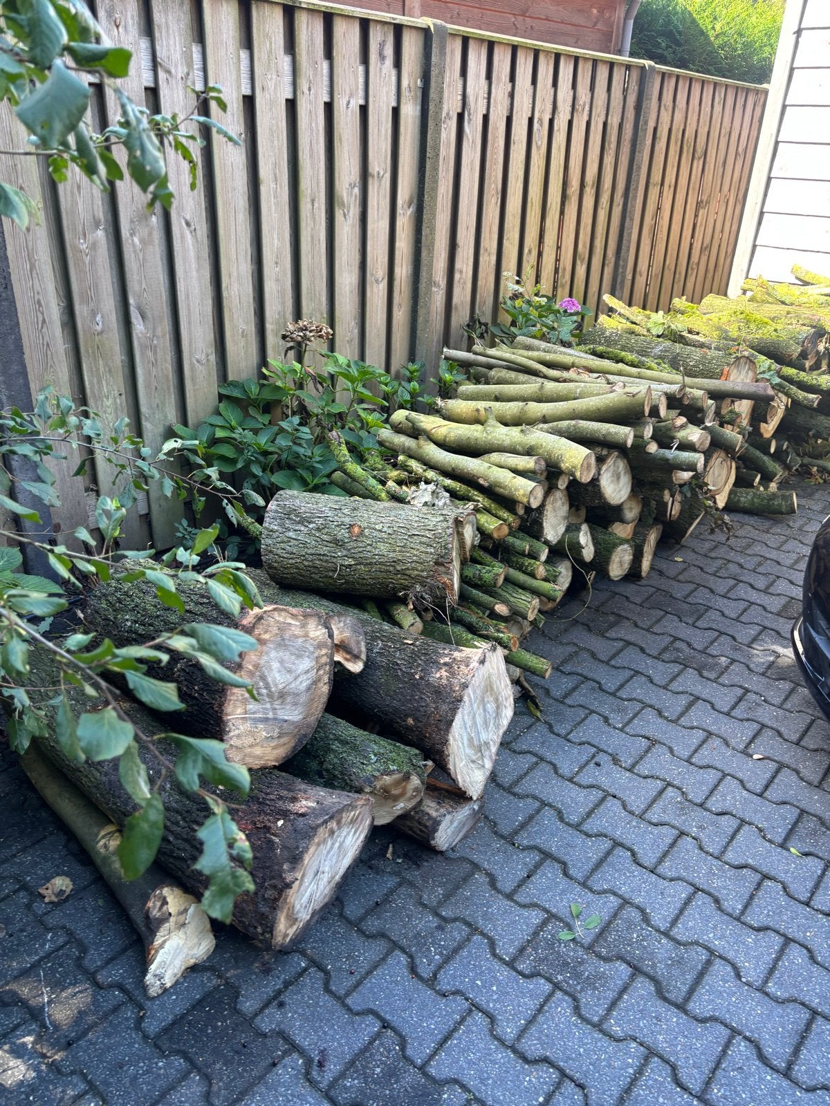 Brandhout: Stammen en takken, diverse houtsoorten, 6 m³ of meer, Ophalen of Verzenden, Overige houtsoorten, Stammen