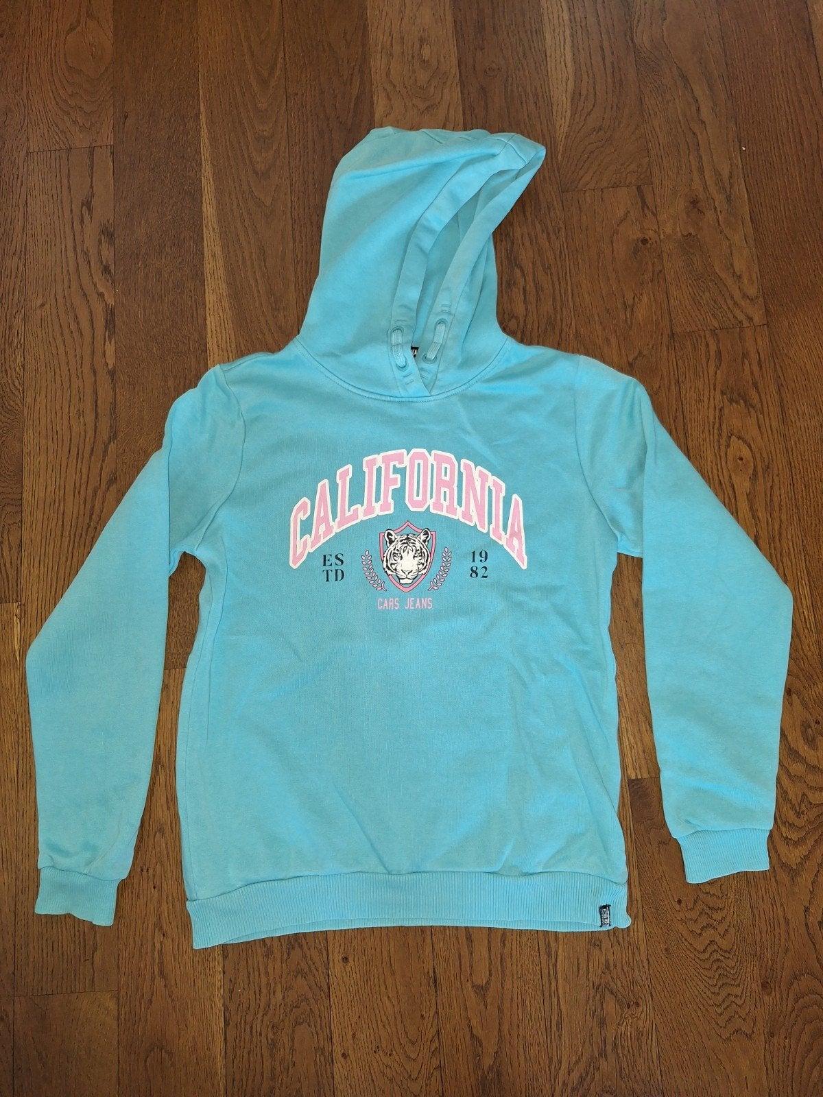 Trui / hoodie maat 170/176, Kinderen en Baby's, Kinderkleding | Maat 170, Gebruikt, Meisje, Trui of Vest, Ophalen of Verzenden