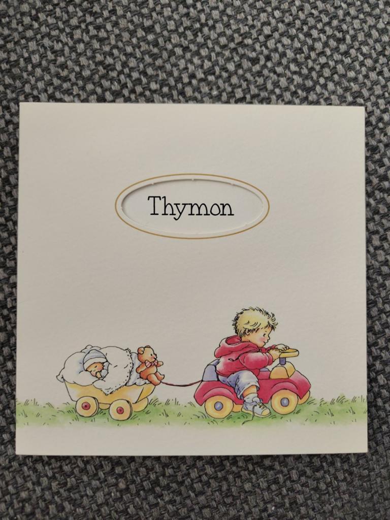 Family cards, Verzamelen, Ophalen of Verzenden, 2000 tot heden, Geboortekaartje