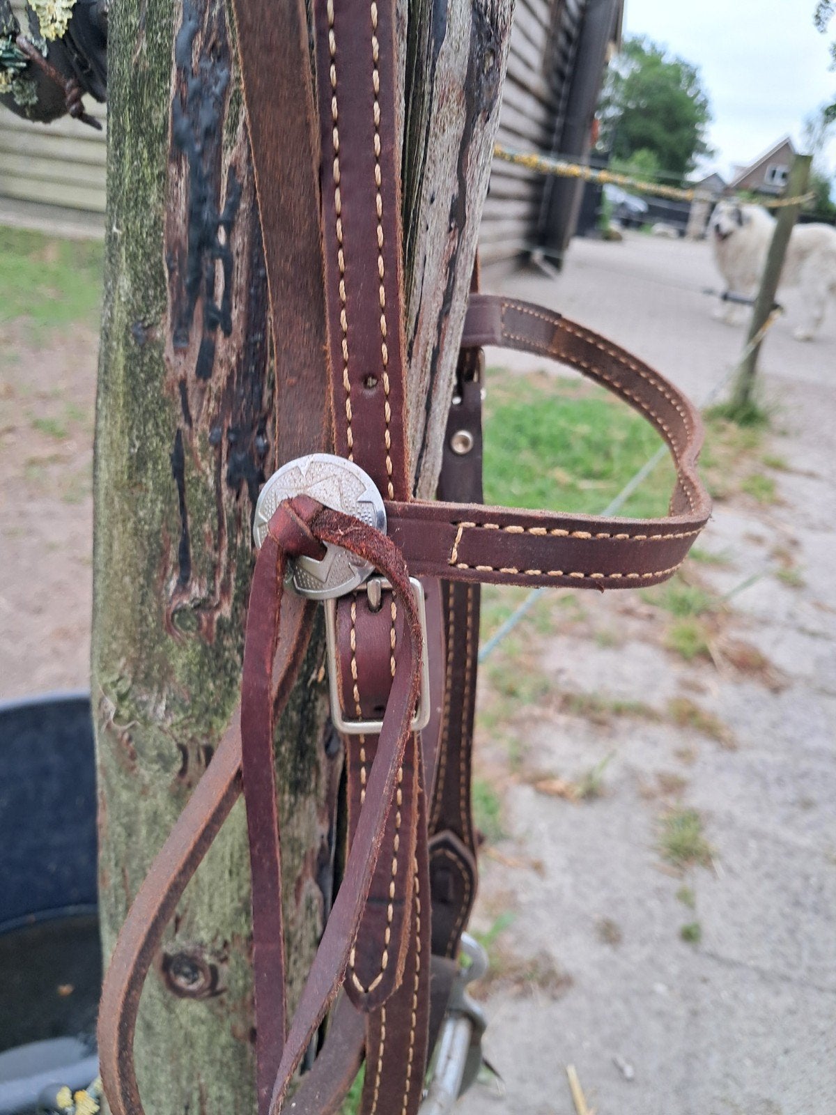 Westernhoofdstel tekoop, Ophalen, Zo goed als nieuw, Western