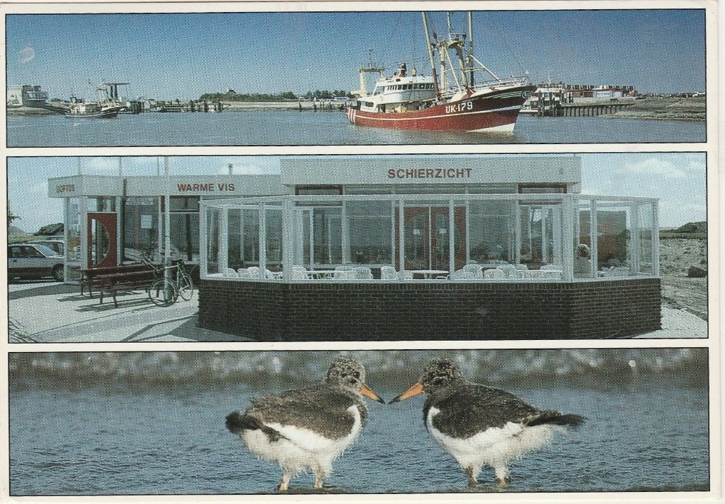 LAUWERSOOG Restaurette Schierzicht, Verzenden, 1980 tot heden, Gelopen, Groningen