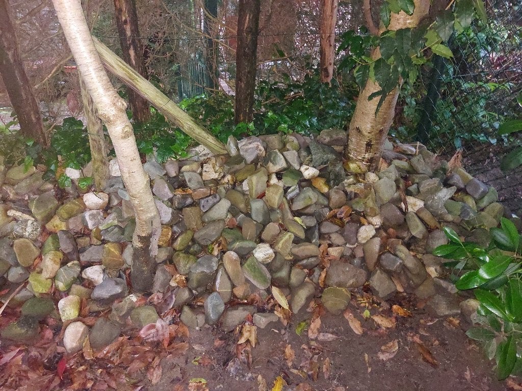 Maaskeien, Ophalen, Gebruikt, Overige typen