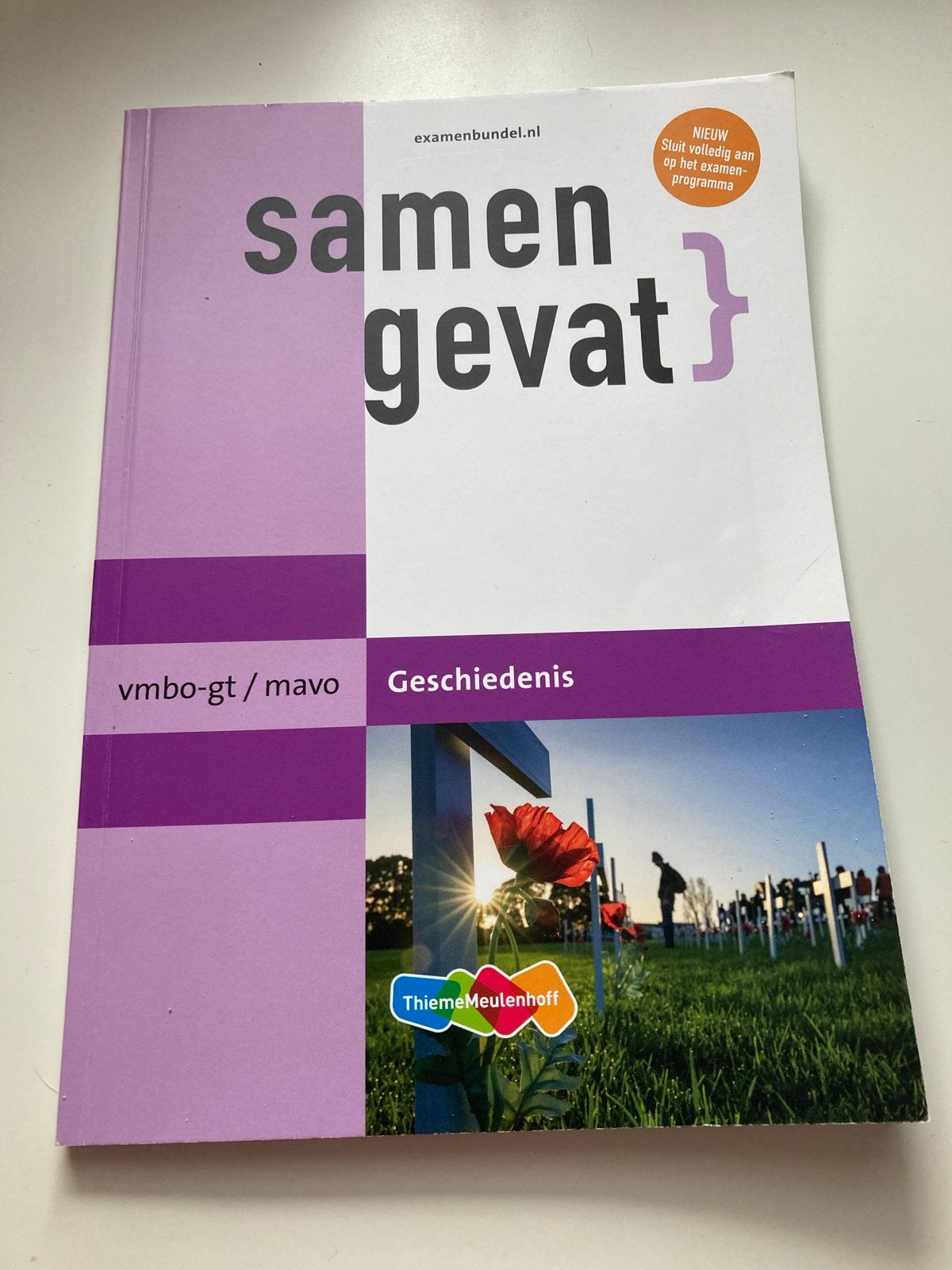Samengevat Geschiedenis vmbo-gt/mavo - ThiemoMeulenhoff, Boeken, Schoolboeken, Ophalen of Verzenden, Zo goed als nieuw, VMBO, Geschiedenis