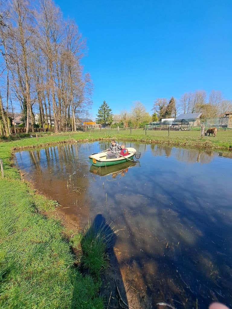 Gratis vissen gezocht voor grote natuurvijver, Dieren en Toebehoren, Vissen | Vijvervissen