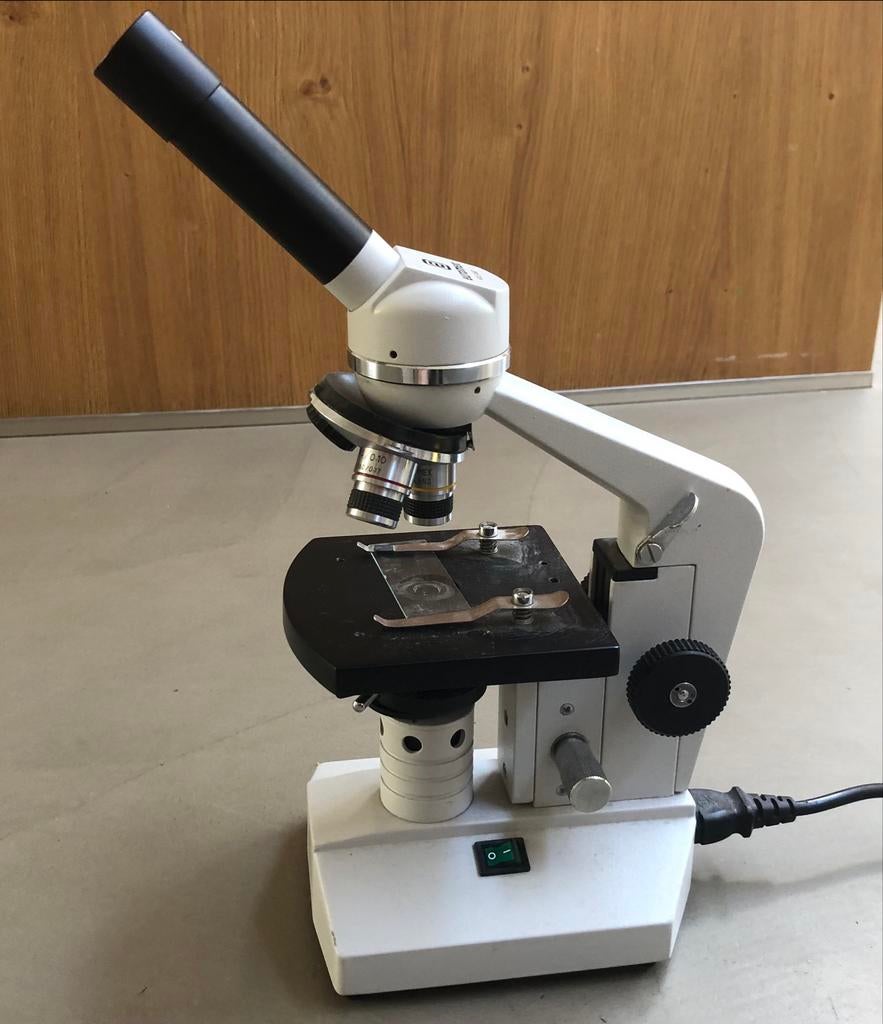 Microscoop Euromex CKL, Ophalen of Verzenden