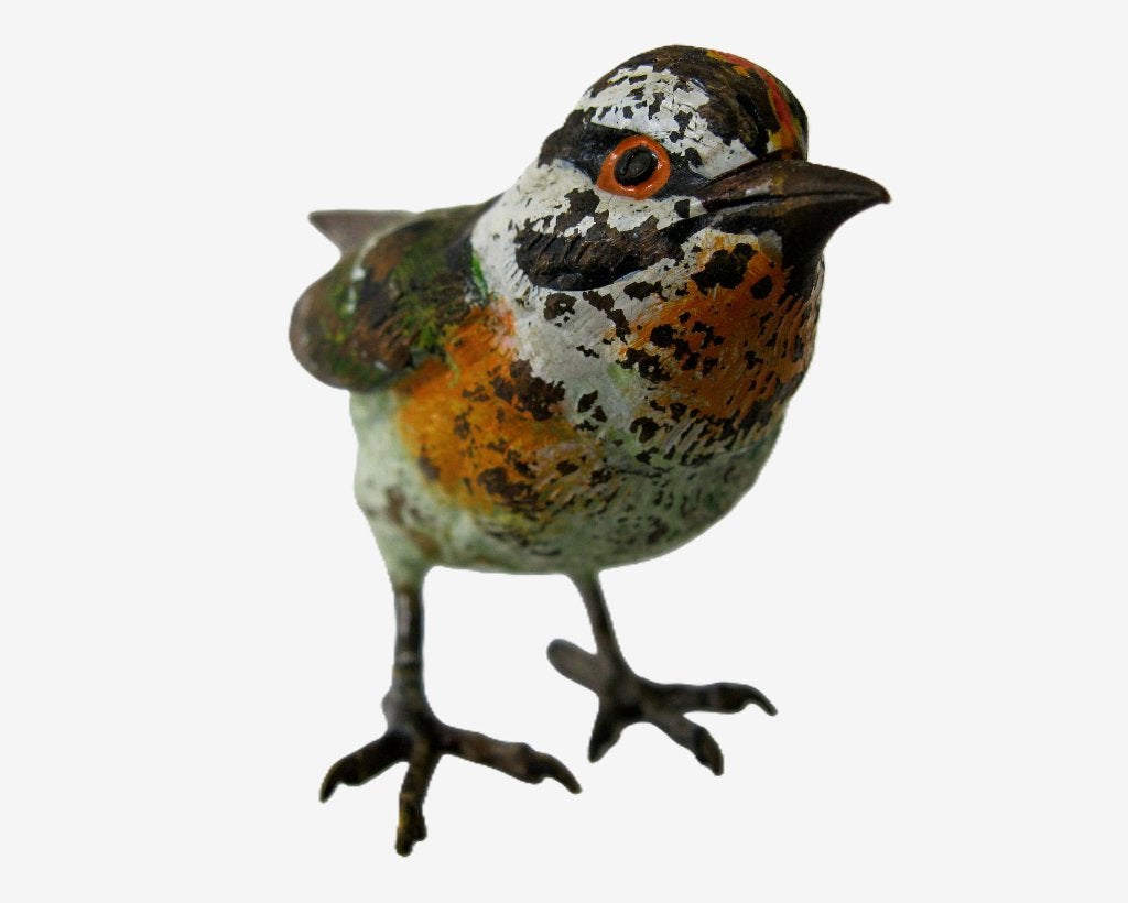 Bergmann Weens brons - Weense bronzen vogel., Ophalen, Gemerkt, Brons, Vogel