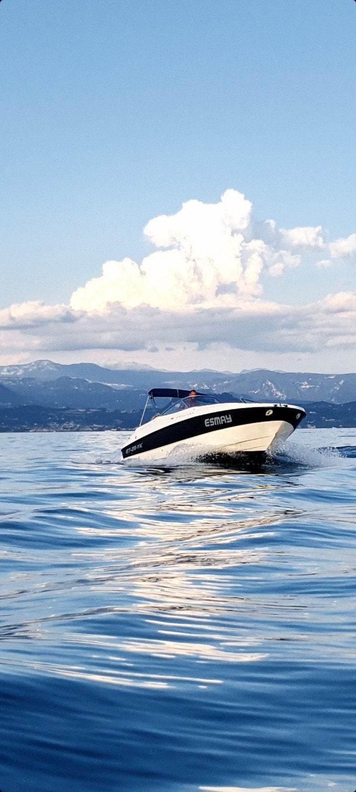 Bayliner 249! open punt! Sportieve speedboot met krachtige m, Watersport en Boten, Speedboten, 350 pk, Gebruikt, Binnenboordmotor