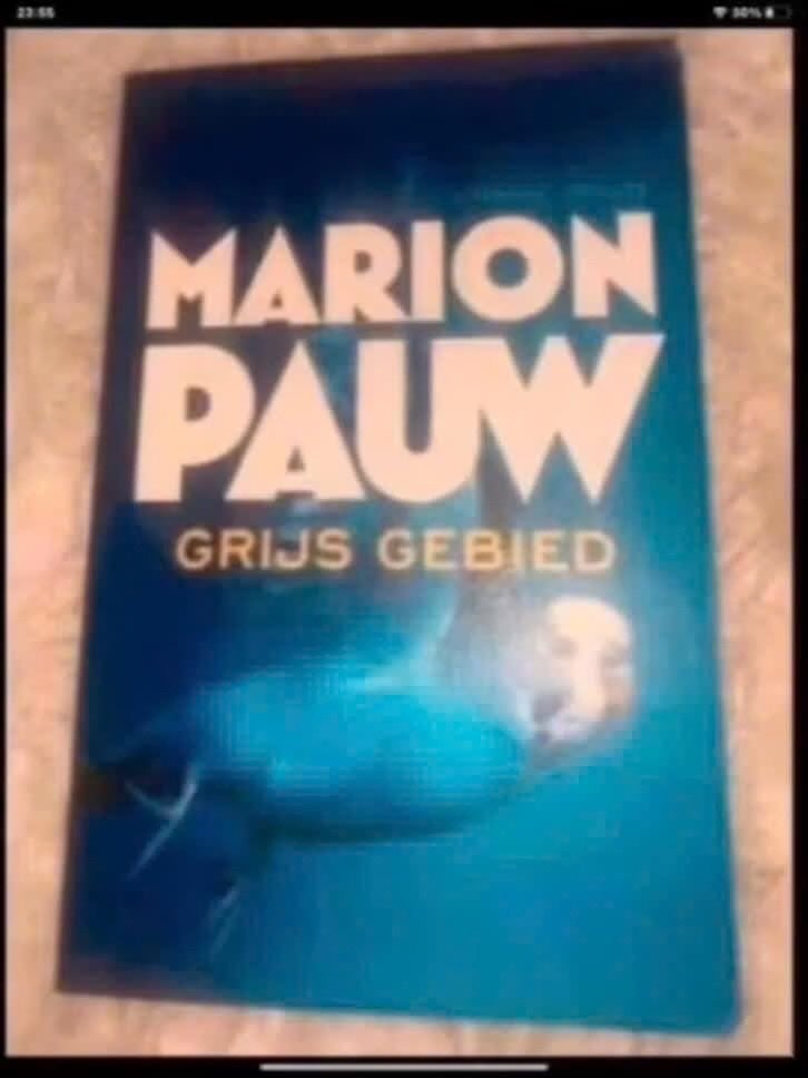 Grijs Gebied - Marion Pauw, Ophalen of Verzenden, Nederland, Marion Pauw, Gelezen