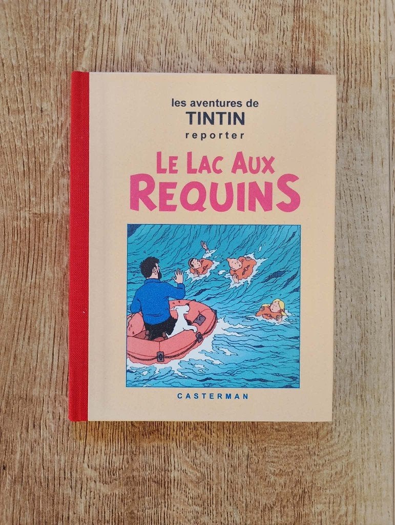 2 zeldzame Kuifje/Tintin albums door Yves Rodier, Meerdere stripboeken, Ophalen of Verzenden, Gelezen, Hergé