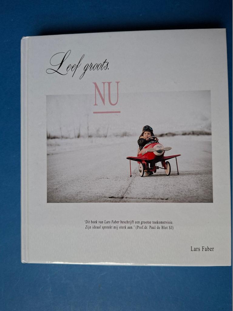 Leef groots NU - Lars Faber, Boeken, Verzenden, Zo goed als nieuw, Overige onderwerpen, Achtergrond en Informatie