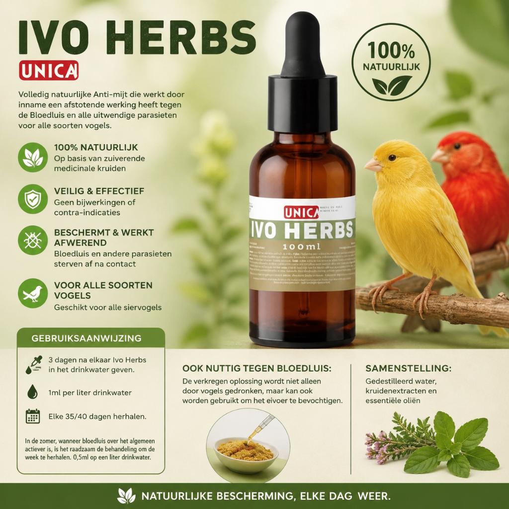 Ivo Herbs 100ml Anti Bloedluis, Ophalen, Nieuw, Eten en Drinken