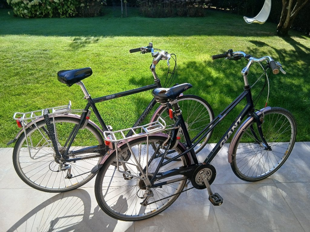 Giant Jubilee + Giant Freerider (set) - maat 57, Ophalen, Gebruikt, Versnellingen, Giant