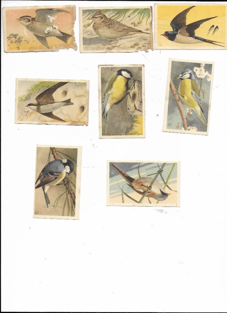 Kanis & Gunnink, Meerdere dieren, Wildzangvogel