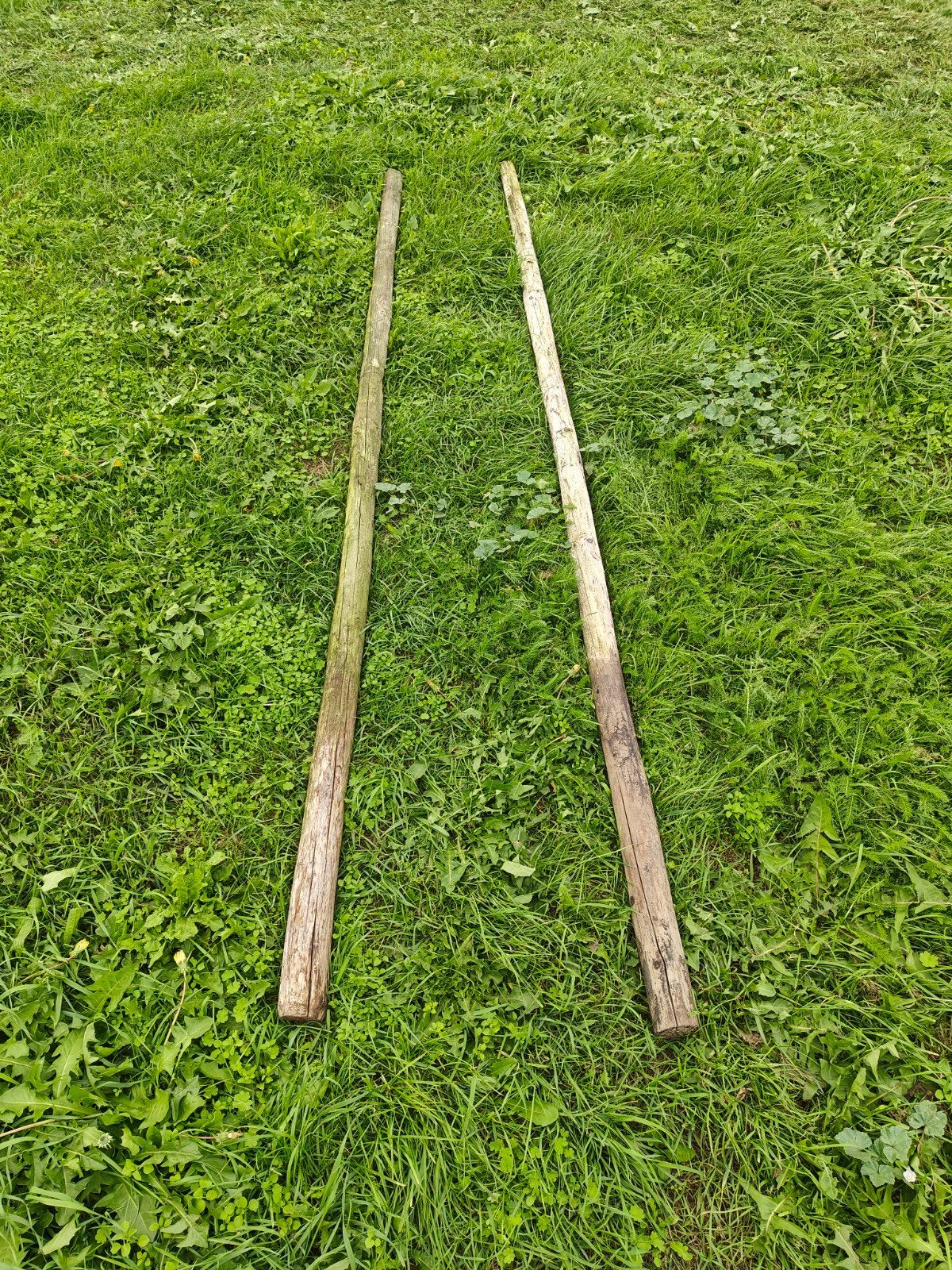 Houten palen - Diverse lengtes en diktes, Tuin en Terras, Ophalen, Gebruikt, 250 cm of meer, Palen