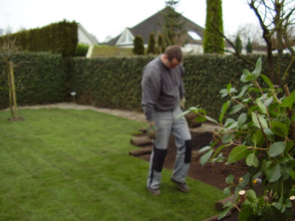 Graszoden,lawn,nieuw (speel)gazon aanleggen Veghel Eindhoven, Ophalen of Verzenden, Nieuw, 20 m² of meer