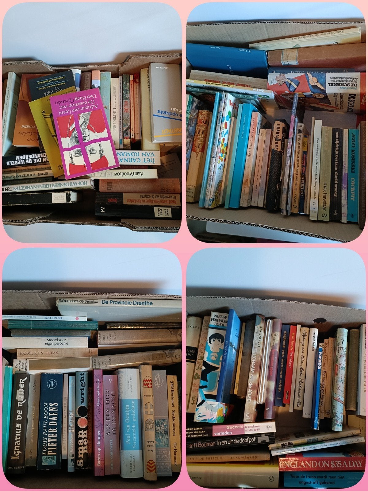 4 Dozen Boeken: van alles wat, Boeken, Ophalen, Gelezen