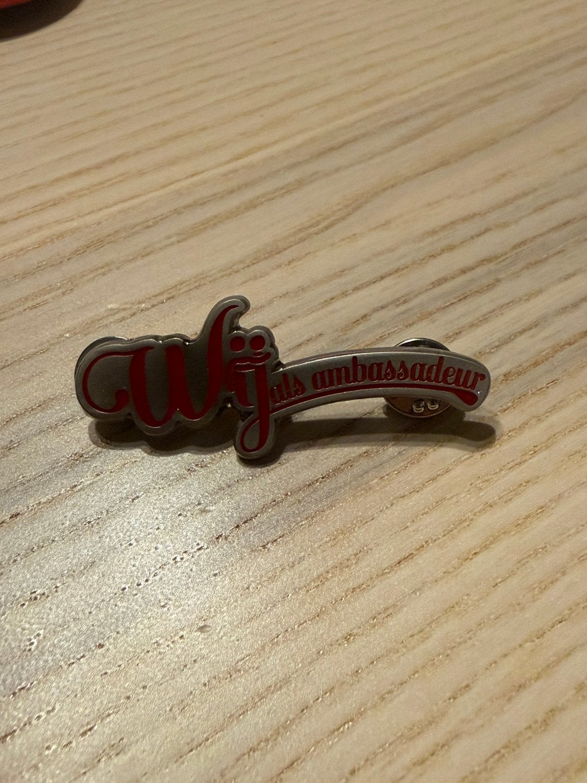 Efteling pin - wij als ambassadeur 2017, Verzenden, Zo goed als nieuw