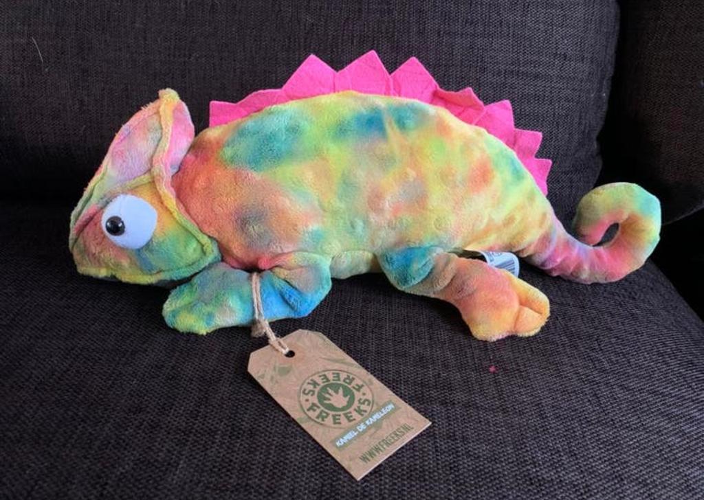 Pluche kameleon, Ophalen of Verzenden, Nieuw, Overige typen