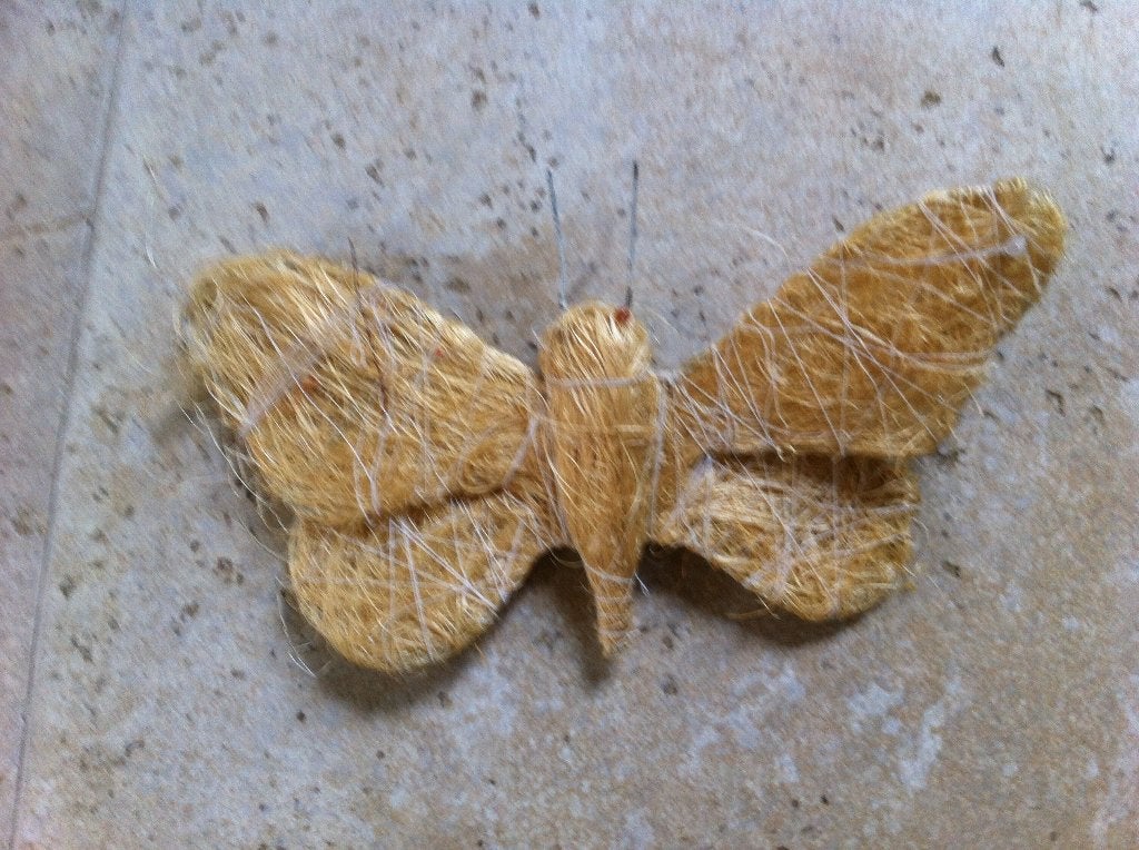 Naturel Kleurige Vlinder van Kokosvezel/Cocosvezel Nieuw, Ophalen of Verzenden, Nieuw