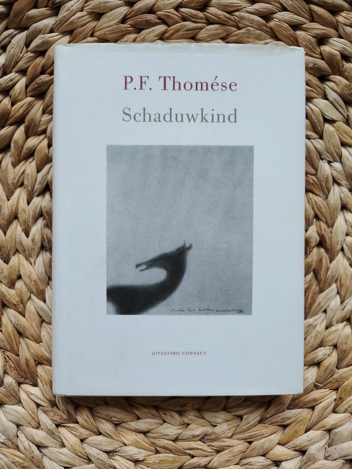 P.F. Thomése - Schaduwkind, Boeken, Ophalen of Verzenden, Zo goed als nieuw