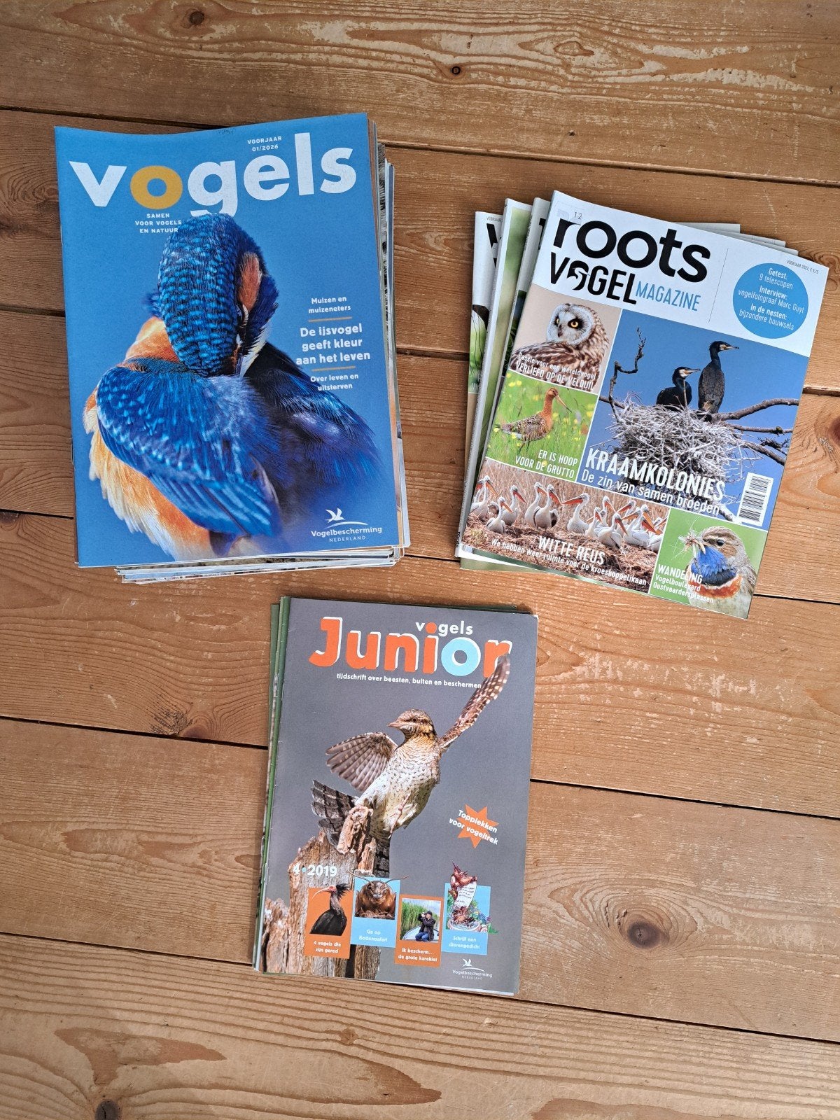 45 tijdschriften vogels, Ophalen of Verzenden, Gelezen, Wetenschap en Natuur