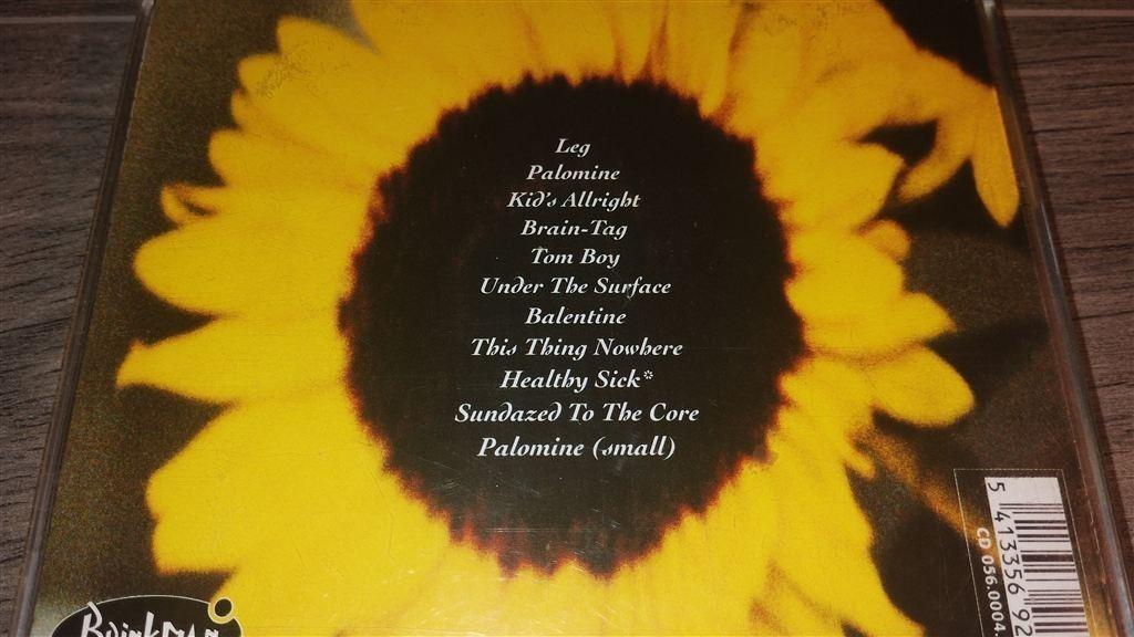 Bettie Serveert - Palomine, Cd's en Dvd's, Ophalen of Verzenden, Zo goed als nieuw, Poprock