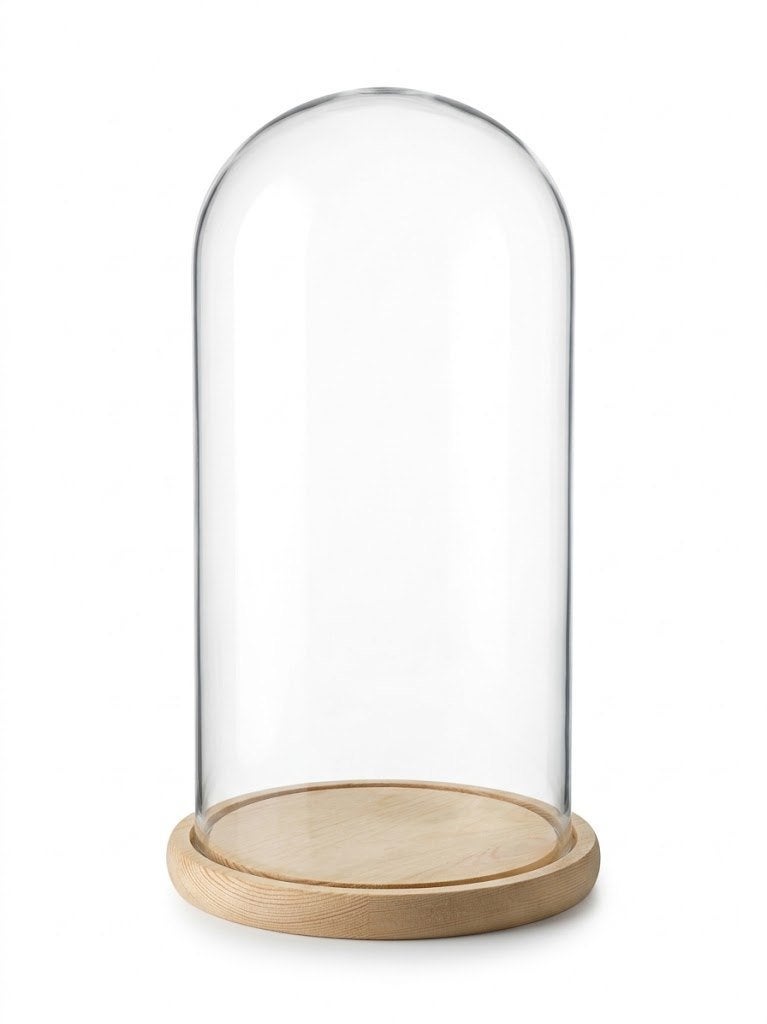 Glazen stolp op houten plateau - D20 x H50 - Woonaccessoires, Geschikt voor buiten, Nieuw, 20 cm, Ophalen of Verzenden