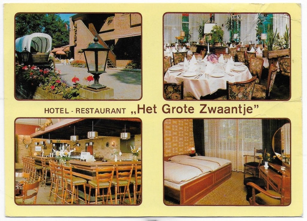 De Lutte Hotel Het Grote Zwaantje Ansichtkaart ( B6121 ), Ophalen of Verzenden, 1980 tot heden, Gelopen