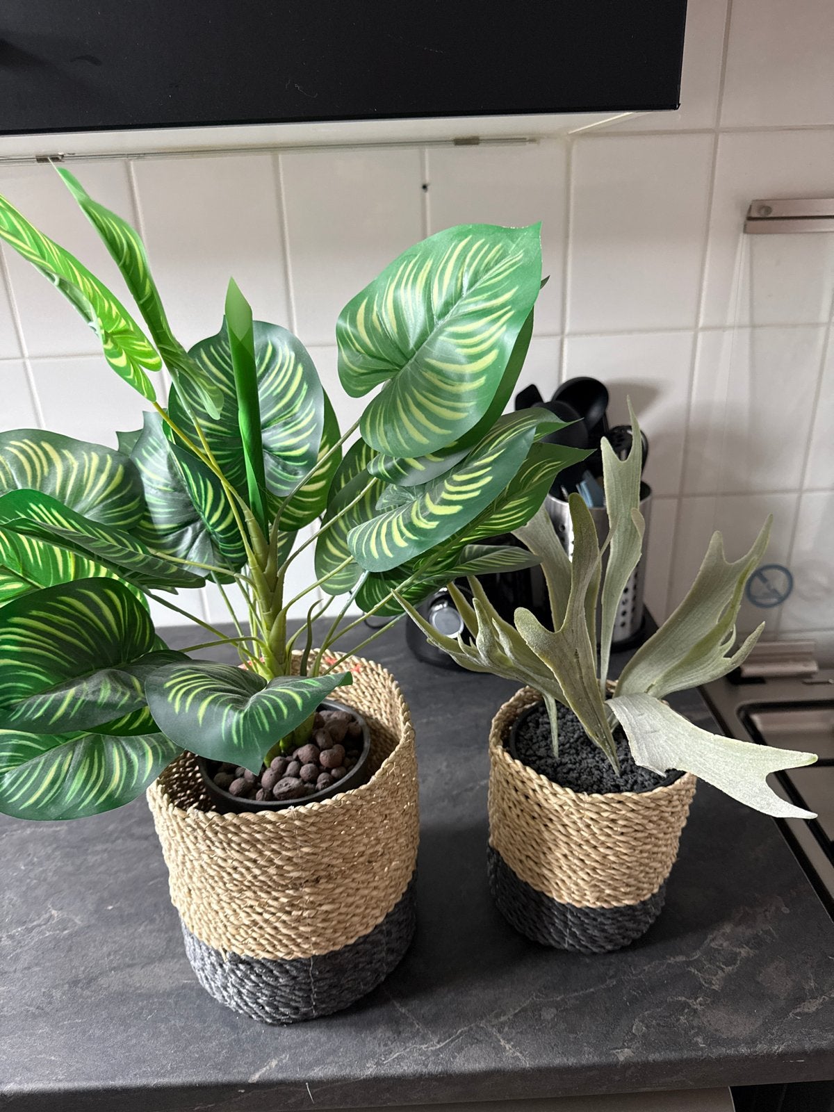 Twee nep planten met pot gratis ophalen, Ophalen, Binnen, Groen, Kunstplant
