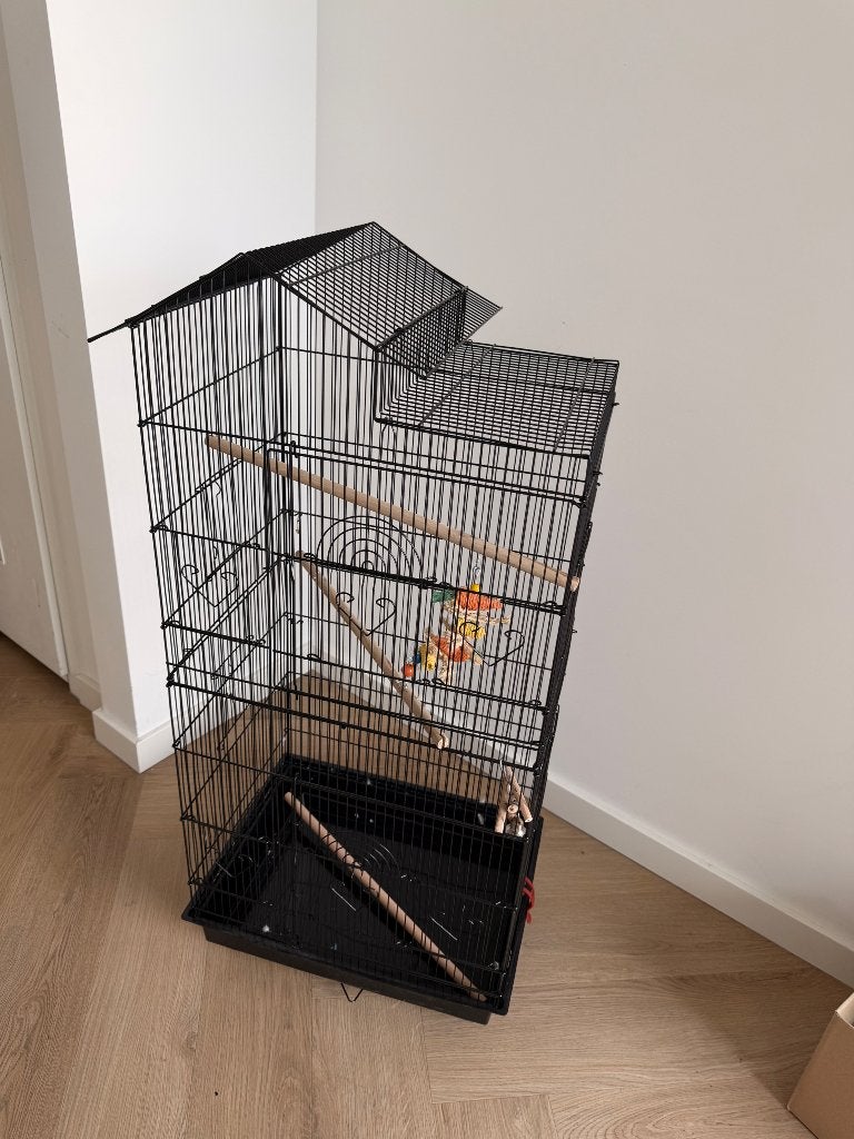 Vogelkooi zwart, Dieren en Toebehoren, Ophalen of Verzenden, Nieuw, Metaal, Vogelkooi