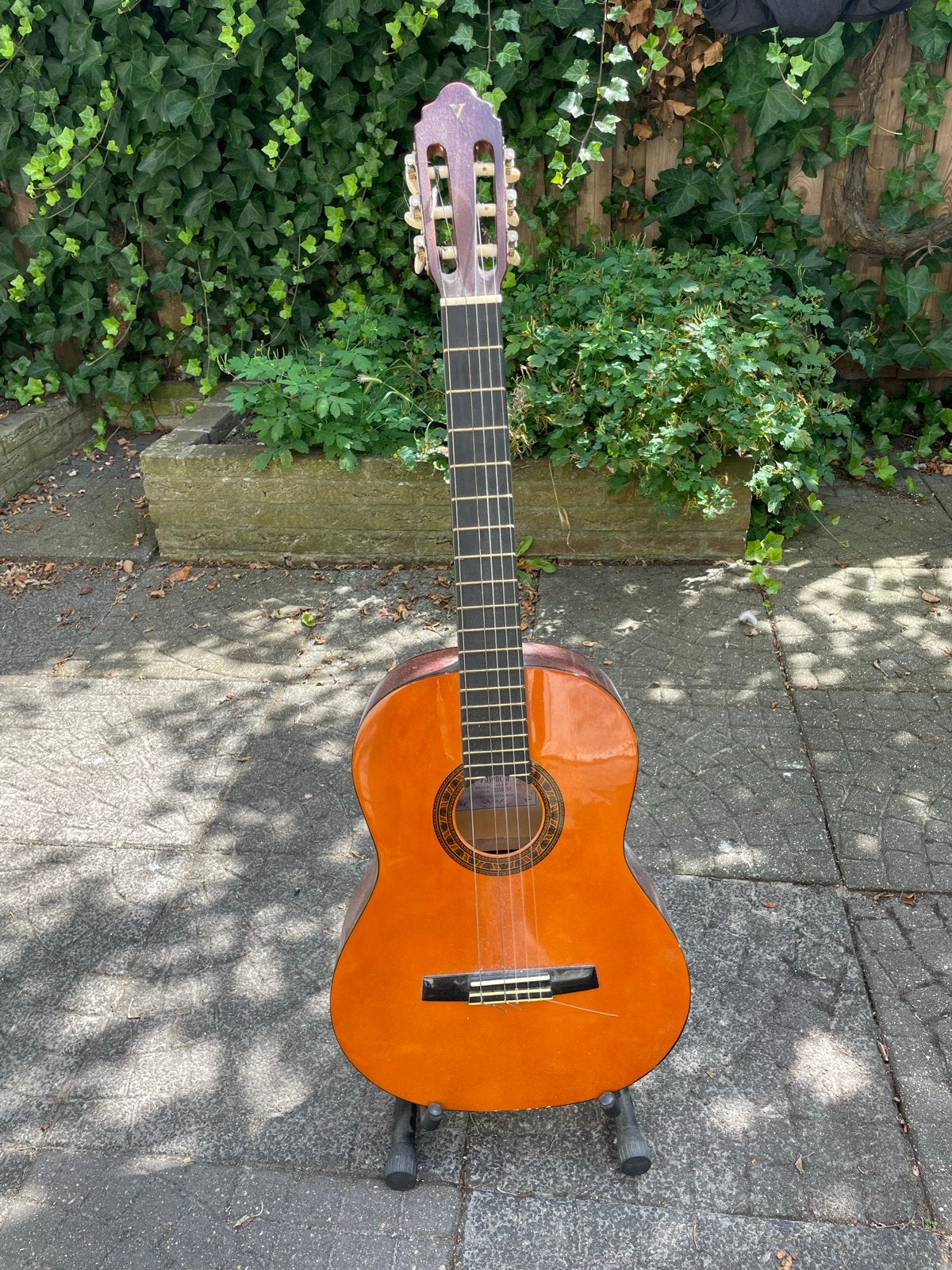 Valencia CG-160 Klassieke Gitaar met standaard, Ophalen, Gebruikt, Klassieke of Spaanse gitaar