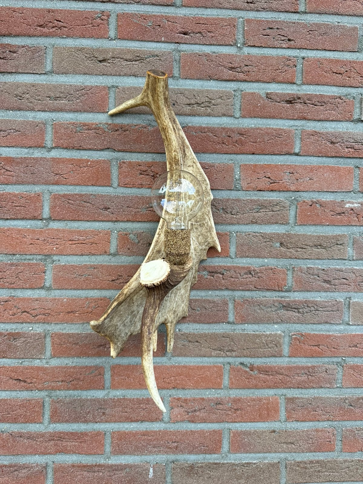 Geweien geweienlamp jacht Veluwe geweien edelhert wandlamp., Ophalen of Verzenden, Nieuw